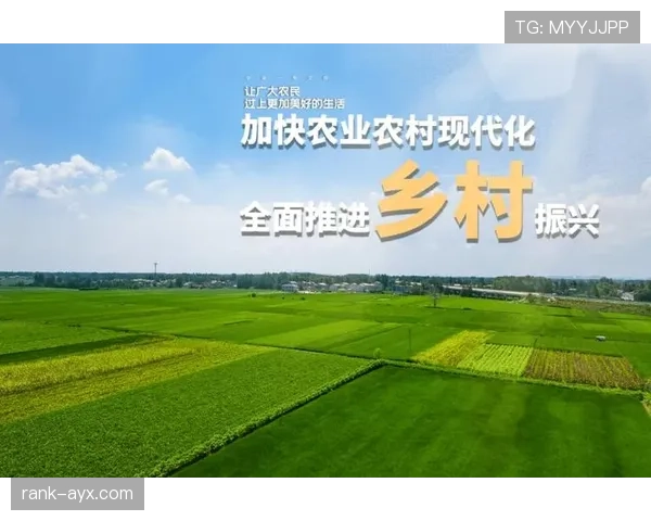 布鲁诺技术全面性赋能俱乐部创新，引领未来发展新格局